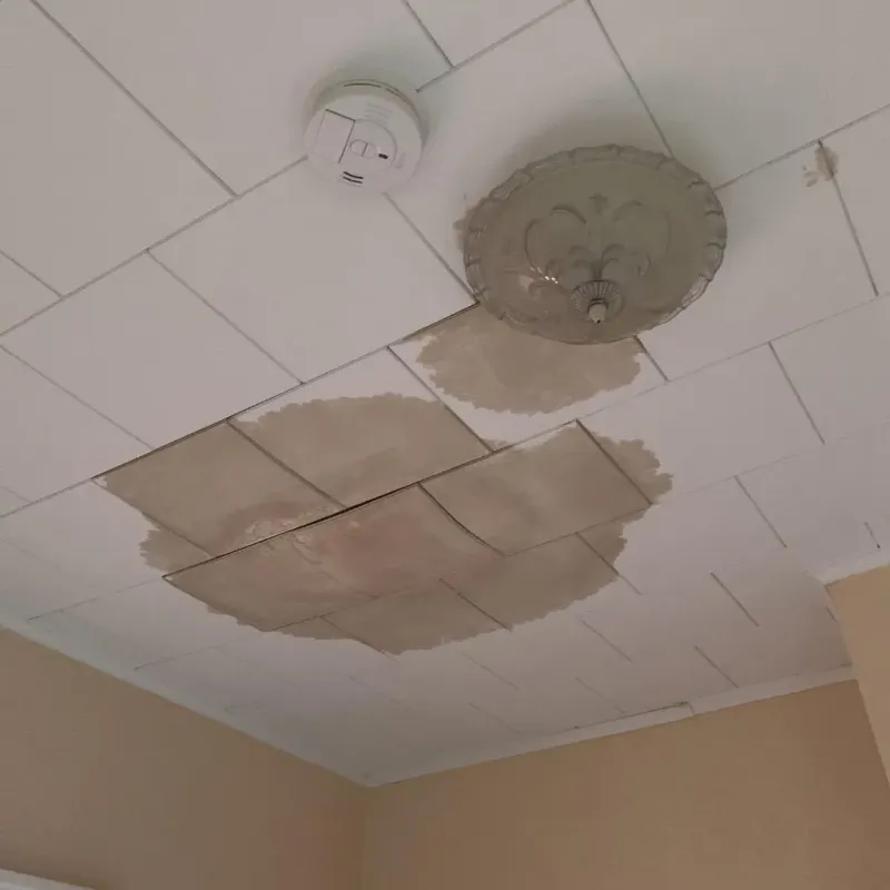 Ceiling Water Damage Repair in Salem, OH