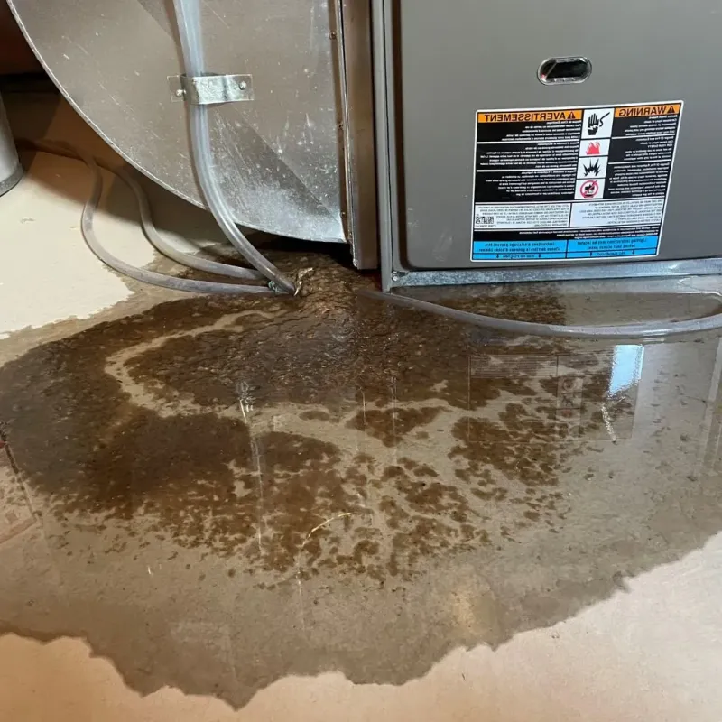Pipe Burst and Leak Restoration in Salem, OH