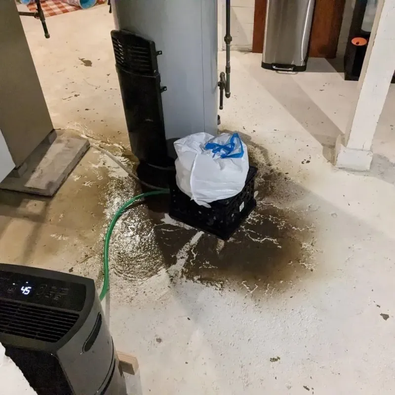 Sewage Backup Cleanup Service in Salem, OH